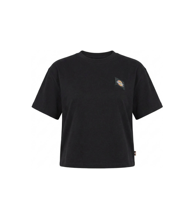Dickies T-shirt