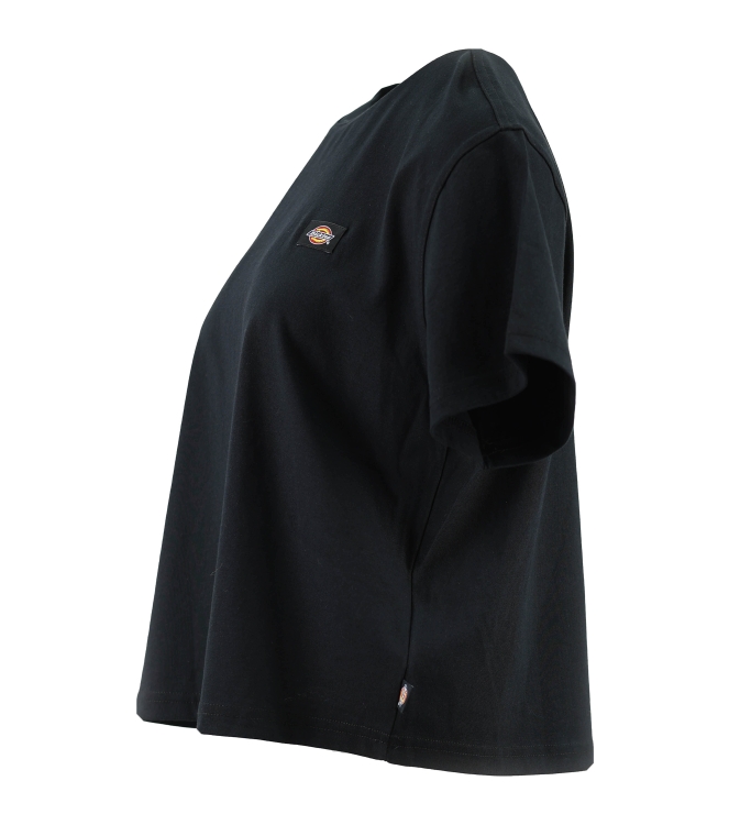 Dickies T-shirt