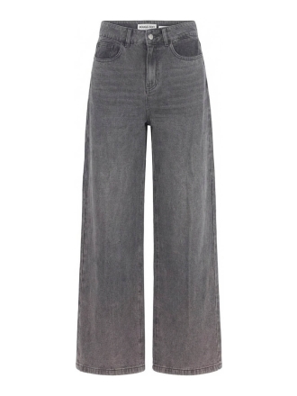 Rouge Edit Broek Grijs 608089
 Maat eu 36
 