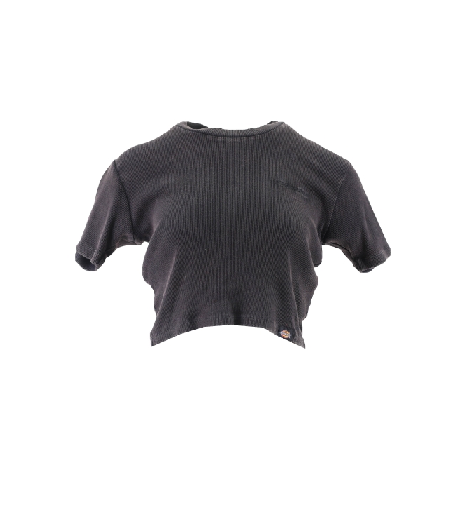 Dickies T-shirt
