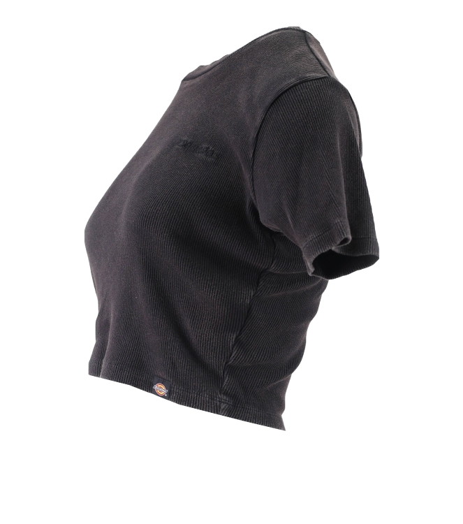 Dickies T-shirt