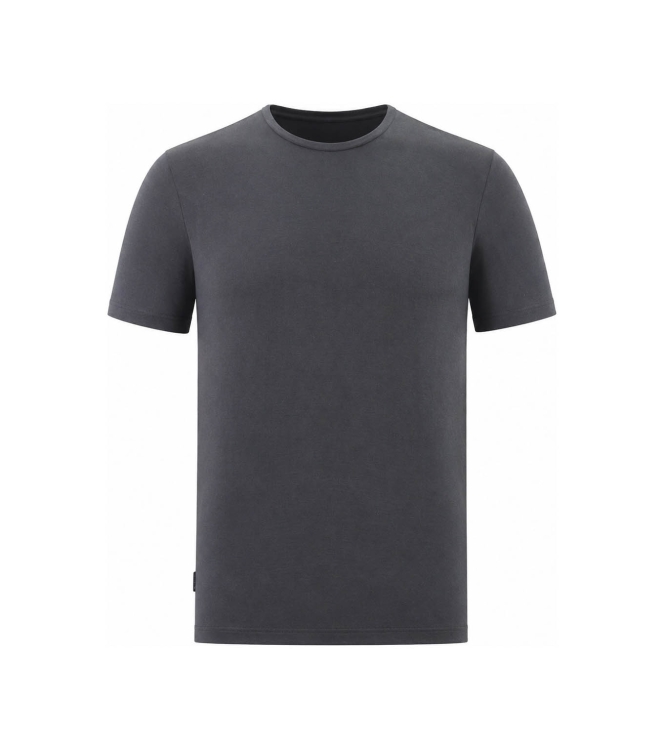 Icebreaker T-shirt