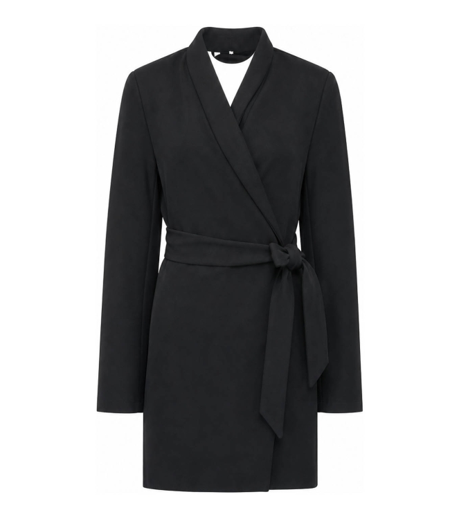 Selected Femme Jurk