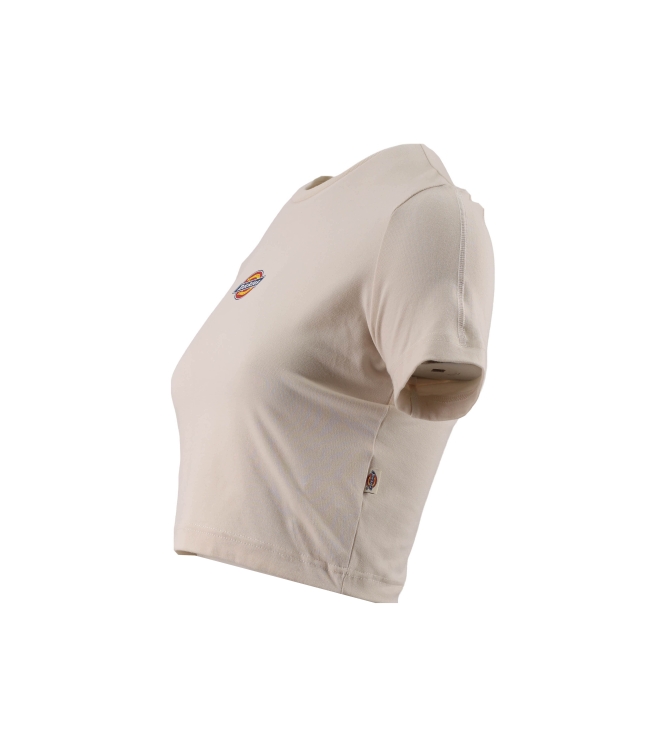 Dickies T-shirt