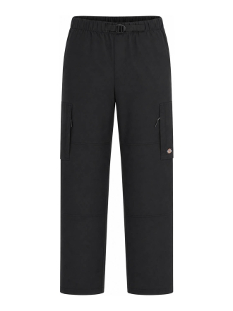 Dickies Broek Zwart 613993
 Maat L
 